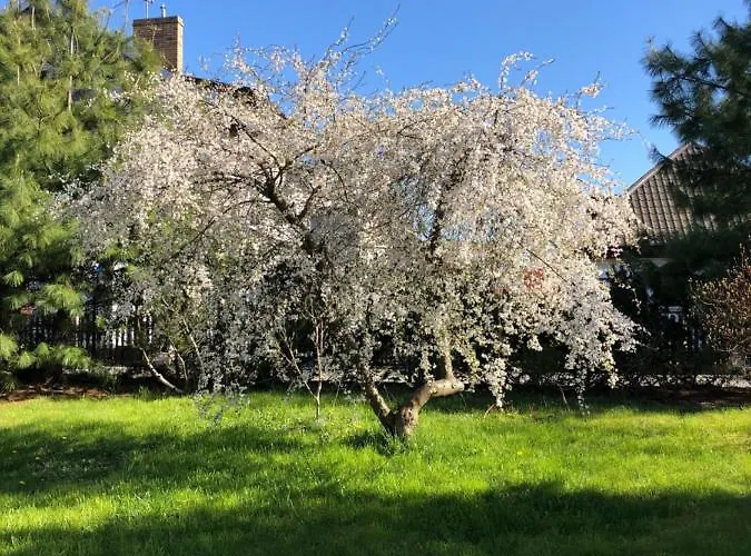 Smart Διαμέρισμα